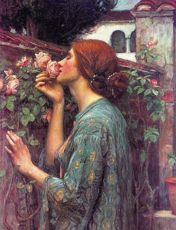 John William Waterhouse My Sweet Rose